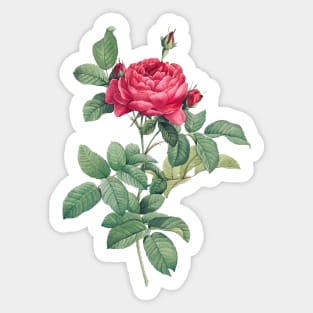 Red Rose Flowers with Green Leaves Sticker